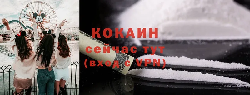 где купить наркоту  blacksprut ТОР  Cocaine 97%  Кувшиново 