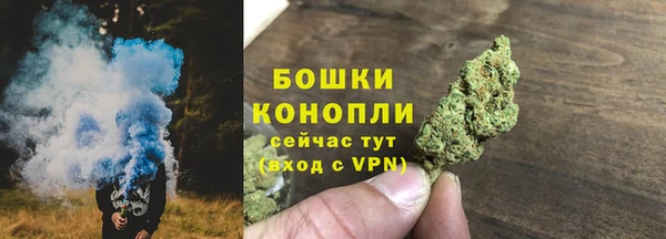 тгк Богданович